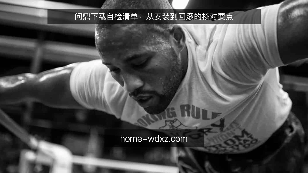 问鼎下载自检清单：从安装到回滚的核对要点