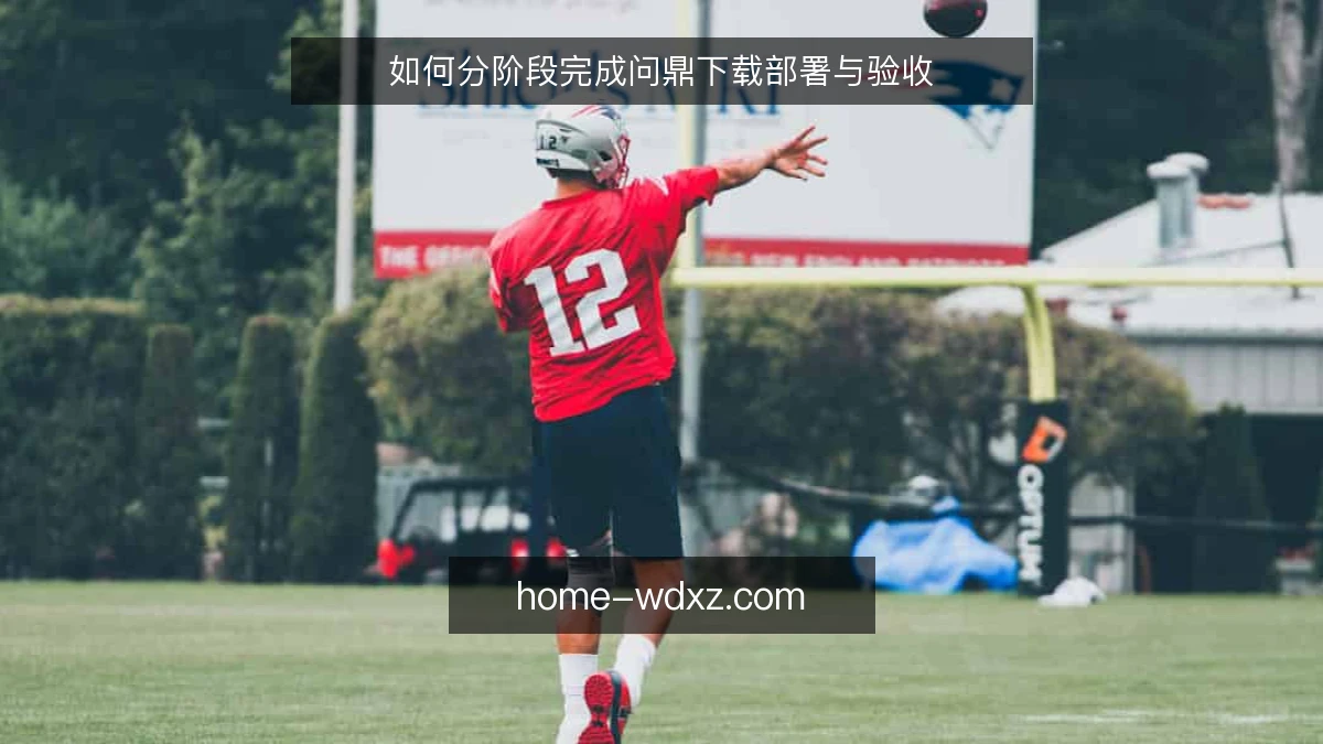 如何分阶段完成问鼎下载部署与验收
