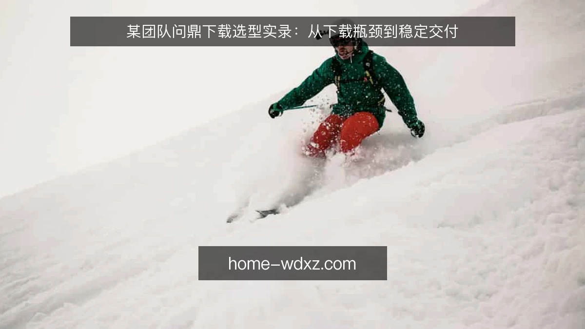 某团队问鼎下载选型实录：从下载瓶颈到稳定交付