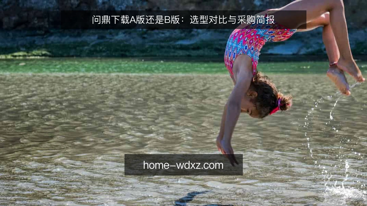 问鼎下载A版还是B版：选型对比与采购简报
