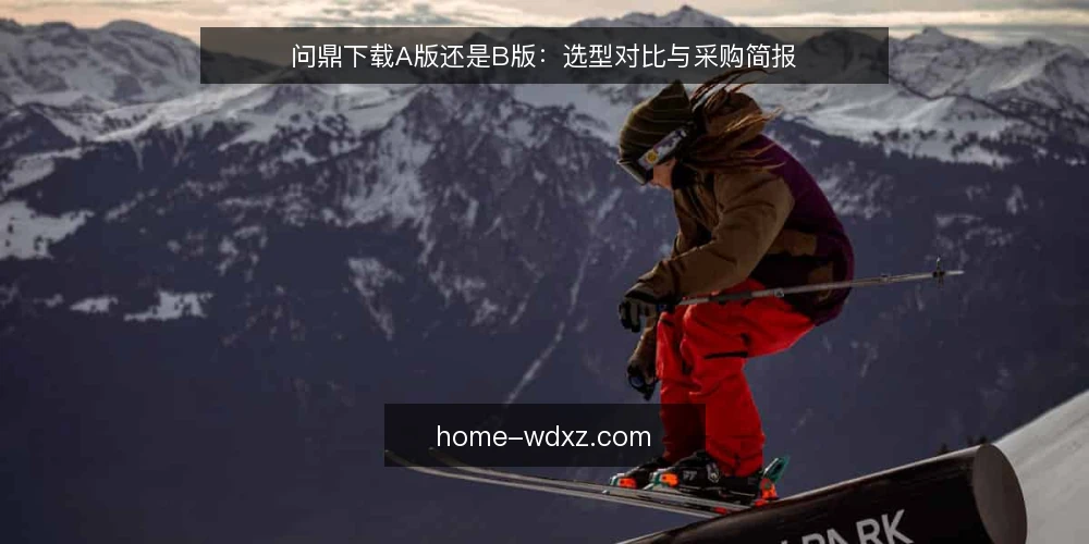 问鼎下载A版还是B版:选型对比与采购简报 — 明确下载场景与需求边界 配图