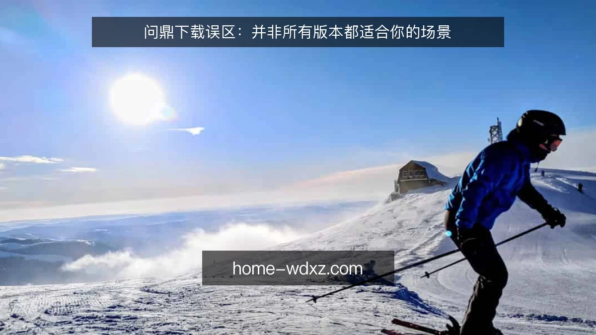 问鼎下载误区：并非所有版本都适合你的场景