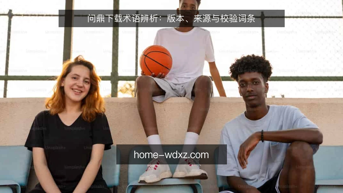 问鼎下载术语辨析：版本、来源与校验词条