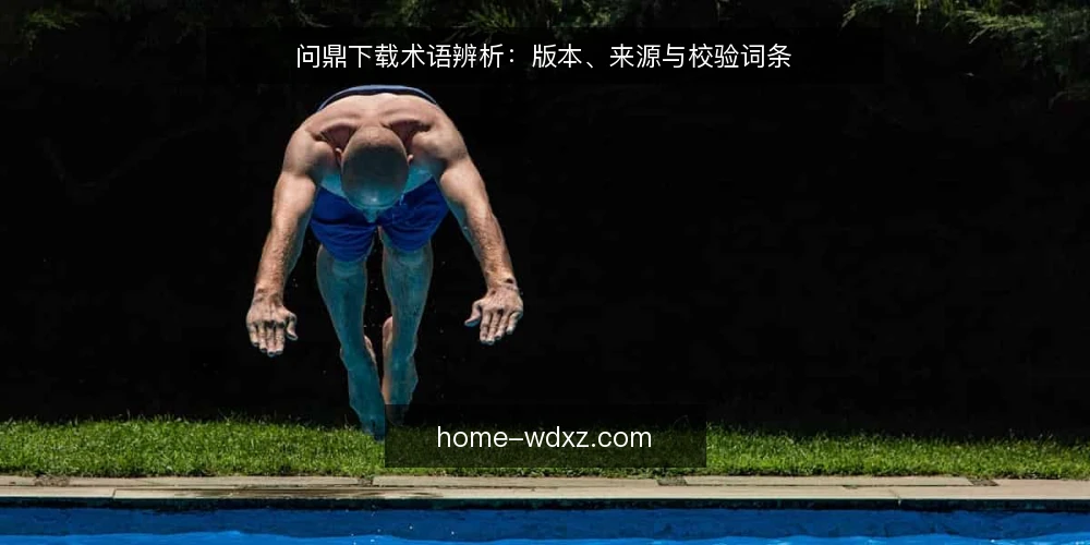 问鼎下载术语辨析：版本、来源与校验词条 — 为何现在需要术语审计 配图
