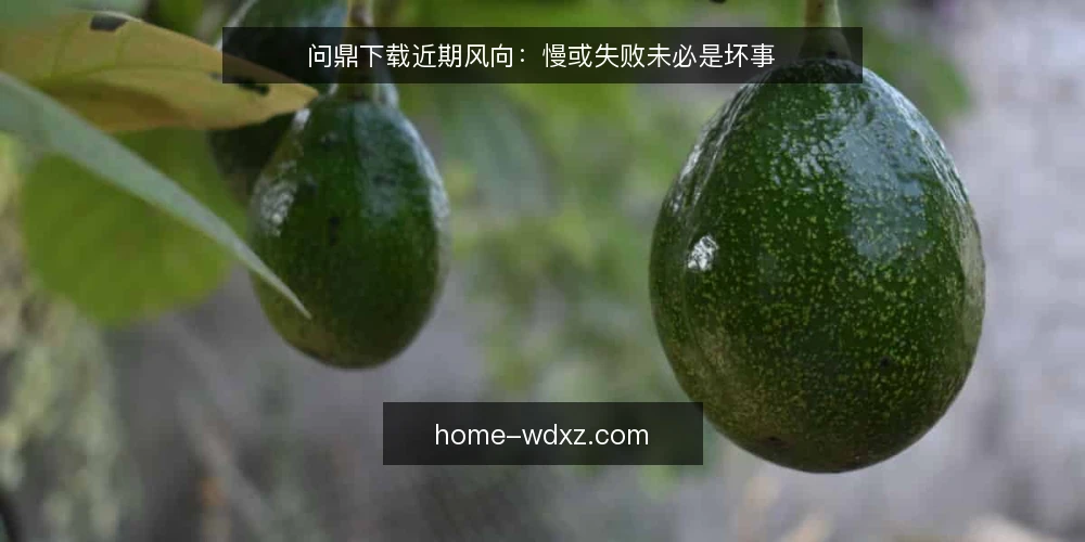 问鼎下载近期风向：慢或失败未必是坏事 — 近期下载异常增多 配图