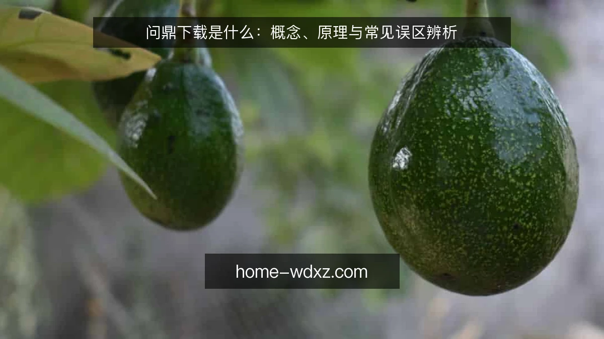 问鼎下载是什么：概念、原理与常见误区辨析